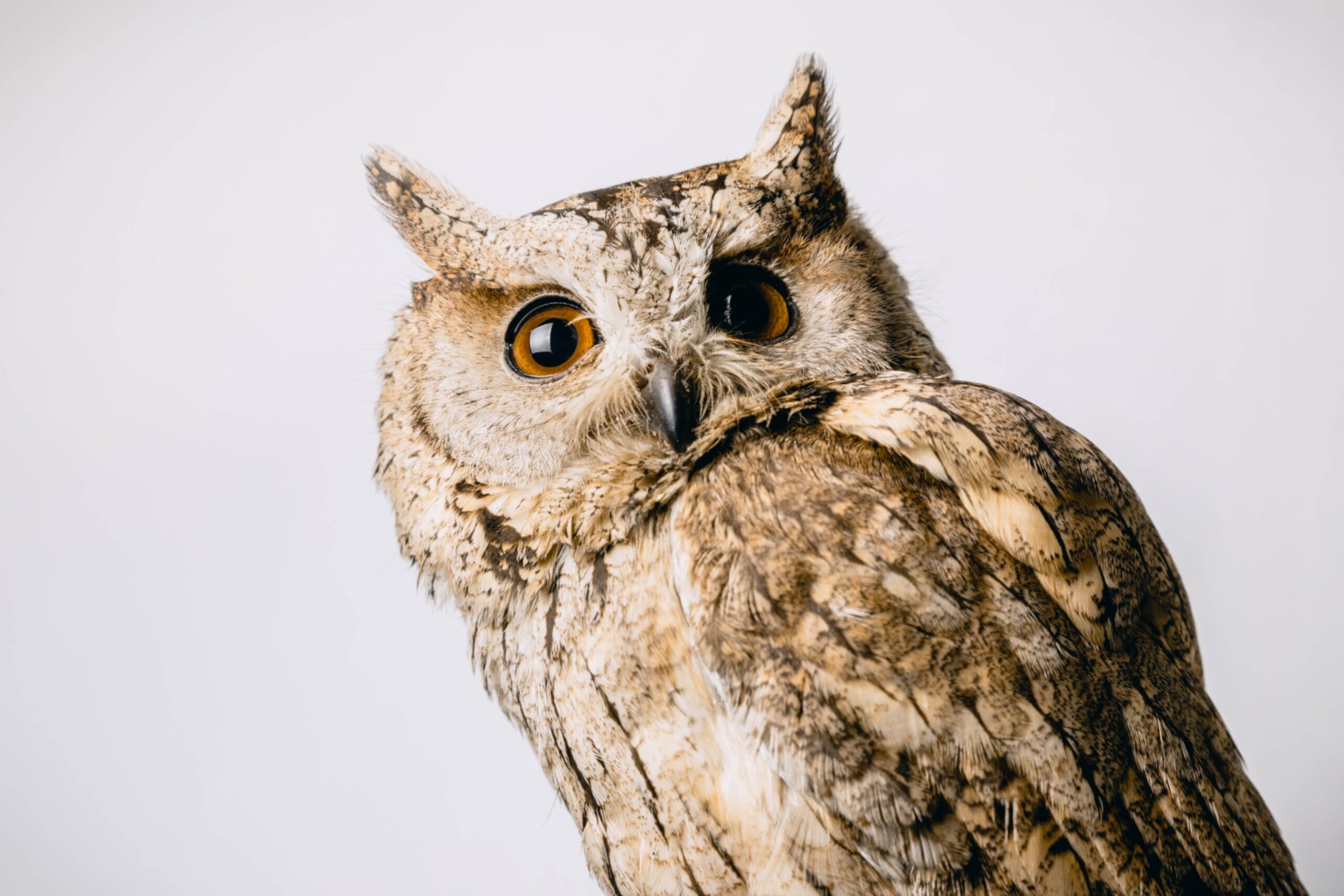 test post 4